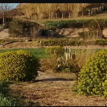 Agri Terre Joniche *
