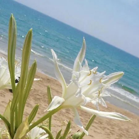 Agri Terre Joniche Alloggio per agriturismo