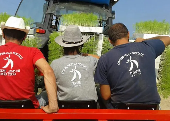 Agri Terre Joniche Alloggio per agriturismo