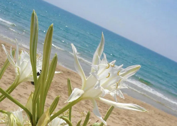 Agri Terre Joniche Alloggio per agriturismo